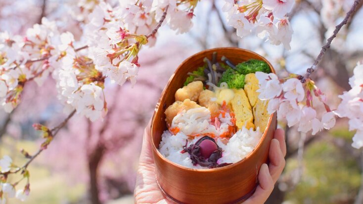 le-hoi-anh-dao-hanami-7 (1).jpg